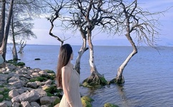 天天养生视频全集